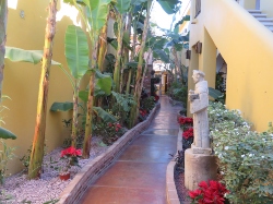 The hotel in Cabo San Jose